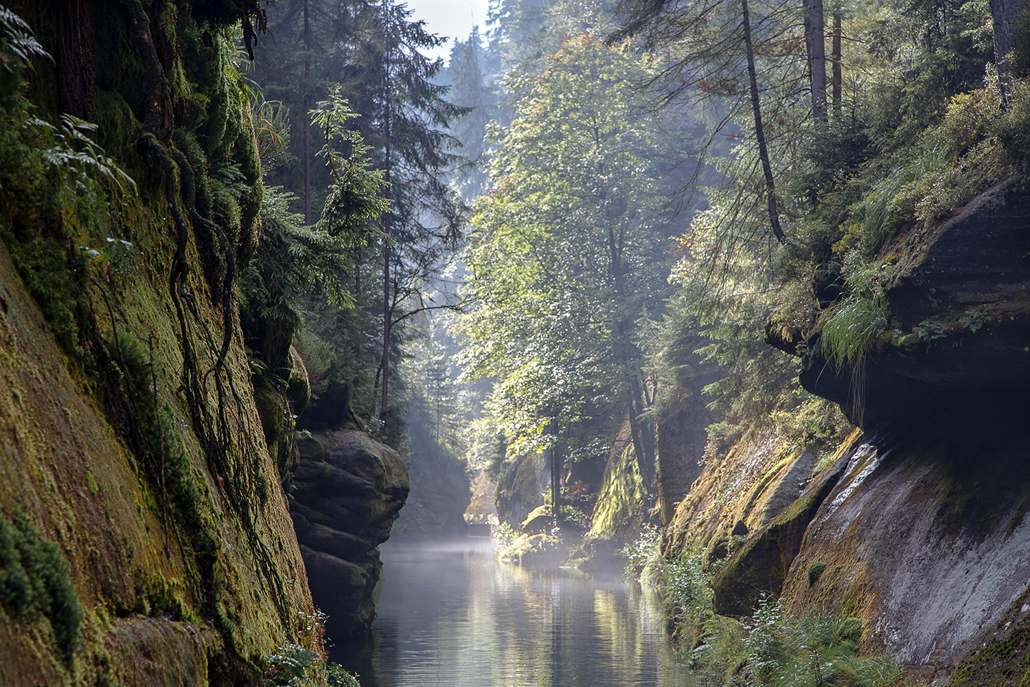 Kamenice river, Hrensko